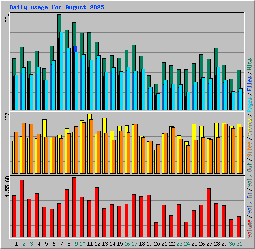 Daily usage for August 2025