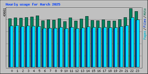 Hourly usage for March 2025