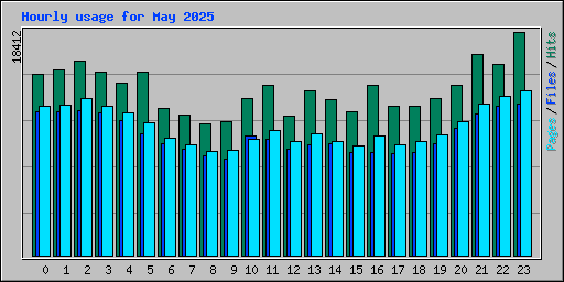 Hourly usage for May 2025