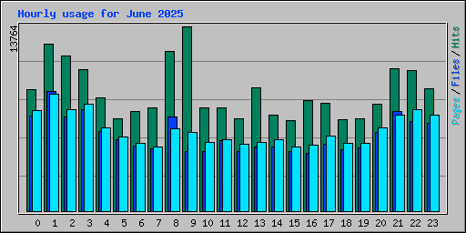 Hourly usage for June 2025