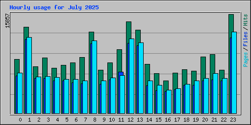 Hourly usage for July 2025