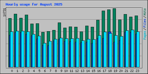Hourly usage for August 2025