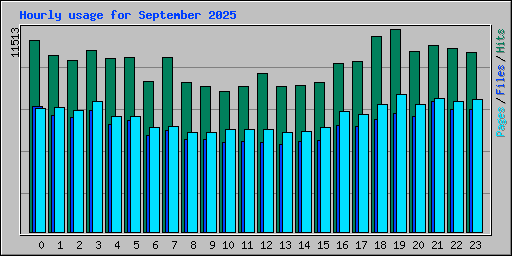 Hourly usage for September 2025