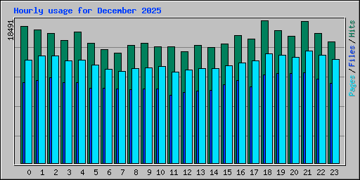 Hourly usage for December 2025