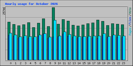 Hourly usage for October 2026